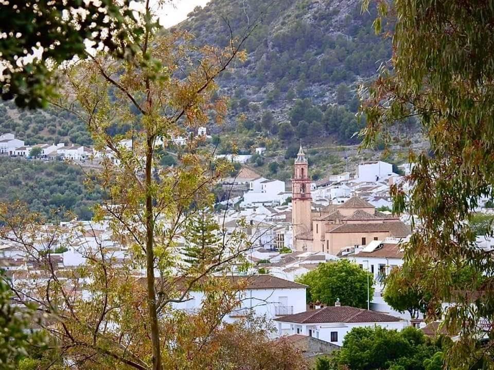 Casa Ana Villa Algodonales Eksteriør bilde